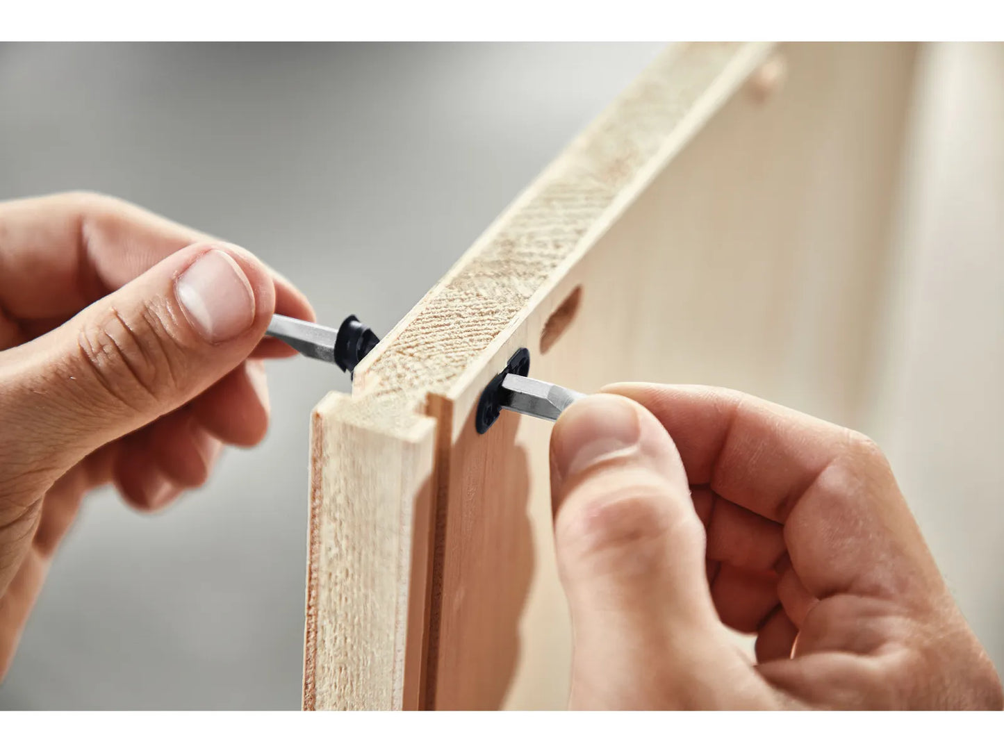 Adapter Festool MSV D8/25