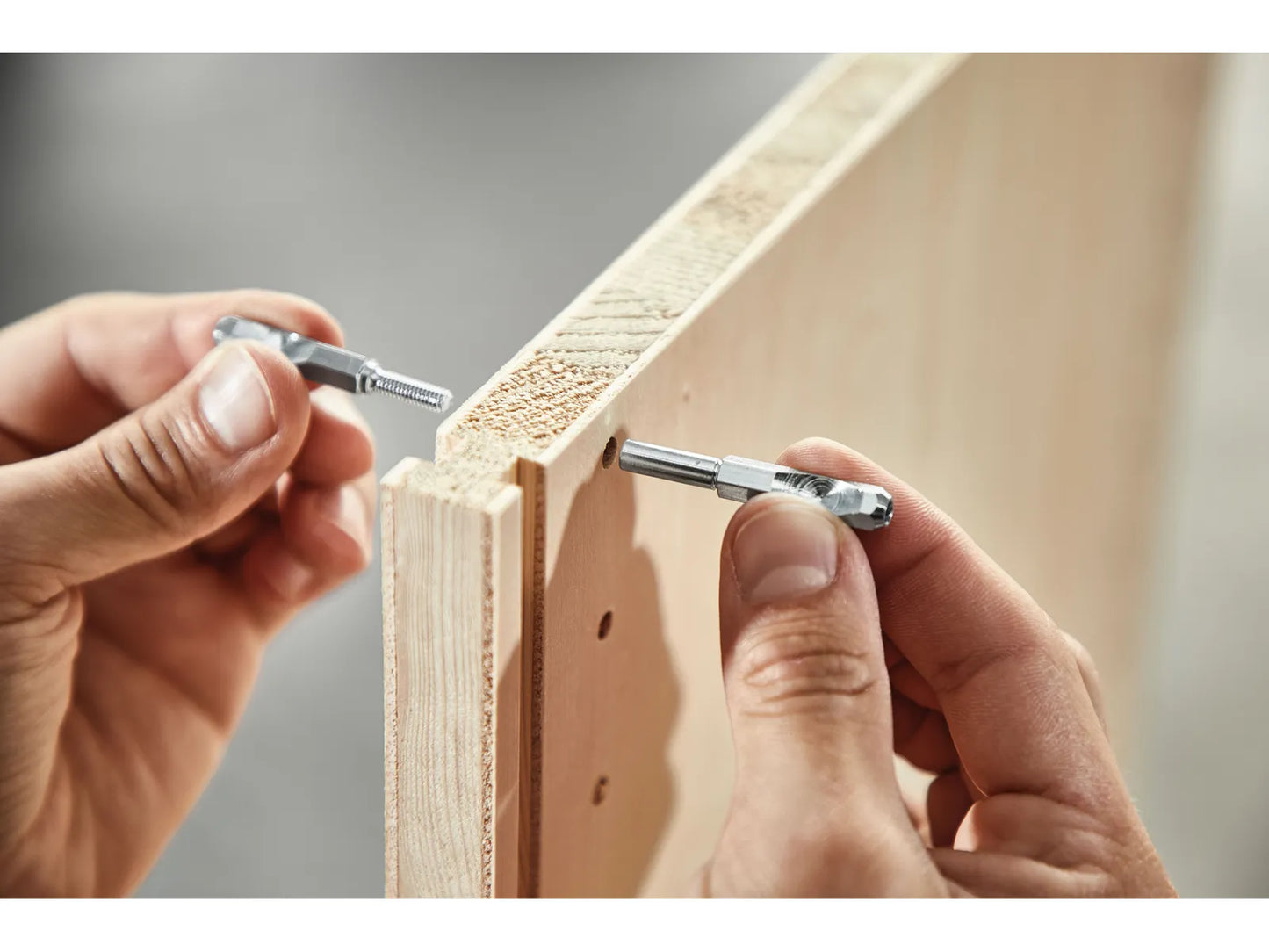 Adapter Festool MSV-LR32 D8/25